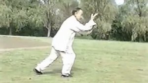 Мастер Ма Чуаньсюй демонстрирует 64 ладони из Лян ши багуачжан / ma chuanxu 64 palm