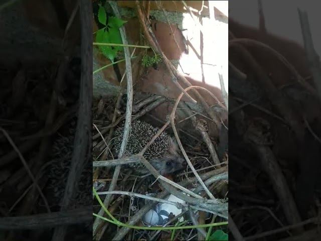 26 июня 2023 г. смотреть онлайн