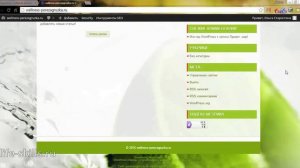 Что такое виджеты.