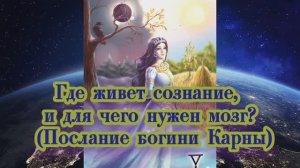 Где живет сознание, и для чего нужен мозг? (Послание богини Карны)