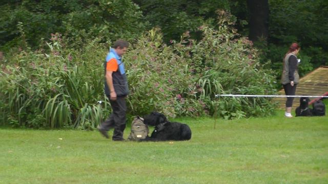 Чемпионат НКП "Русский чёрный терьер" 2016 г. по ОКД и ЗКС. смотреть онлайн