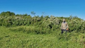 ДОРОГА НА ЗОЛОТОЙ РУДНИК УСЫПАНА РЕДКИМИ МОНЕТАМИ. ПОИСК ЗОЛОТА.  Коп поиск МЕТАЛЛОИСКАТЕЛЕМ. Ч.1