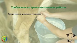 Правила безопасности в животноводстве