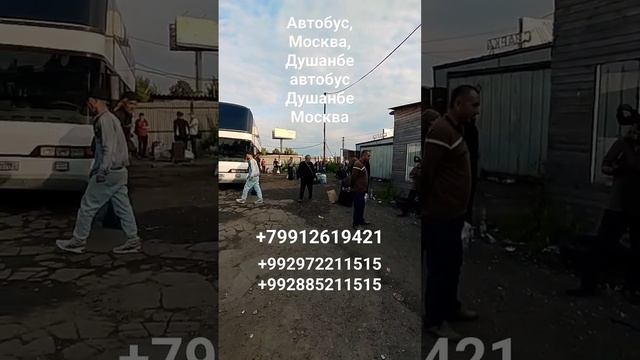 автобус, Москва, Душанбе. автобус. Душанбе, Москва.