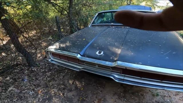 Will it run? 1966 Ford Thunderbird sitting for years revival смотреть онлайн