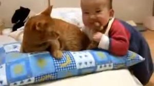 Железные нервы кота ! Ребенок мучает кота