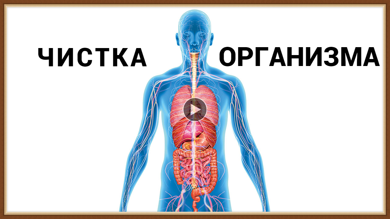 ЧИСТКА ОРГАНИЗМА - КАК ЗАЧЕМ ПОЧЕМУ.mp4