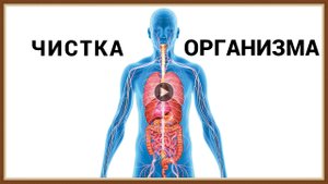 ЧИСТКА ОРГАНИЗМА - КАК ЗАЧЕМ ПОЧЕМУ.mp4