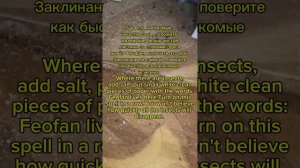 От порчи через насекомых