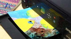 Обзор МФУ Epson Expression Premium XP-530