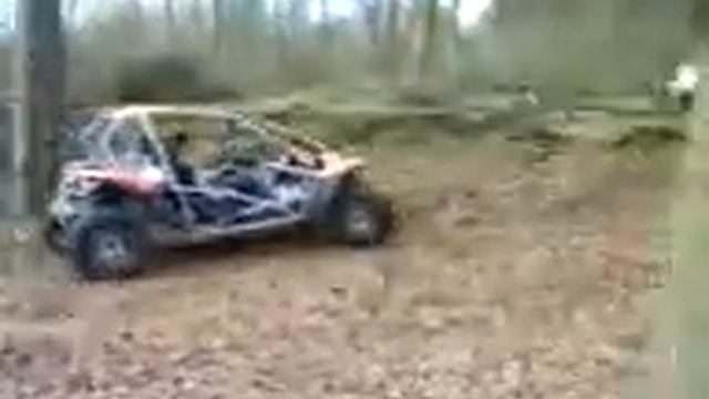 buggy pgo br 500 i