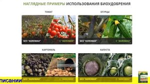 Как применять удобрение агромакс инструкция по применению