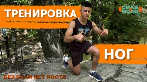 ТРЕНИРОВКА НОГ