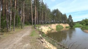 ЛЮБЭ Ты неси меня река