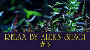 2021-0710 Aleks SHAGI Relax #05 Поздний июньский вечер - успокаивающая и расслабляющая музыка.