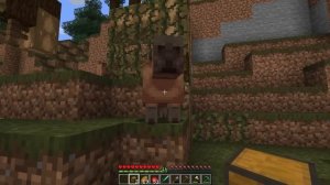 СОЗДАЛ НОВЫЕ БИОМЫ ДЛЯ МАЙНКРАФТА! \ ЭТИХ биомов НЕ ХВАТАЕТ!