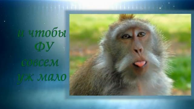 С Днем рождения Алексей!!! смотреть онлайн