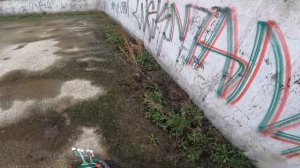 Graffiti review with Wekman  FadeBomb  Cap adapter test