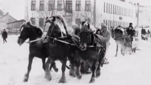 Город Пучеж. Ивановская область. 60 - 90 - е годы.