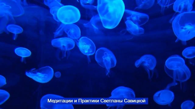 Энергетическая медитация / Эра Водолея / Главный закон вселенной / Медитации Светланы Савицкой