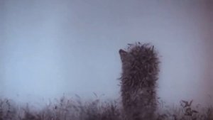 Достали проблемы, ушел в туман!
