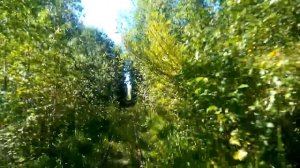 пионерка, дрезина встреча с такой же дрезиной.