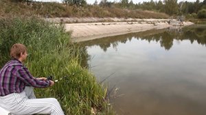 Рыбалка под Малоярославцем | Карась пёр как безумный