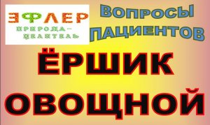 ЁРШИК из ОВОЩЕЙ и ТРАВ. А они совсем НЕ ОЩЕЛАЧИВАЮТ... Использование ГОЛУБОЙ ГЛИНЫ как сорбент.