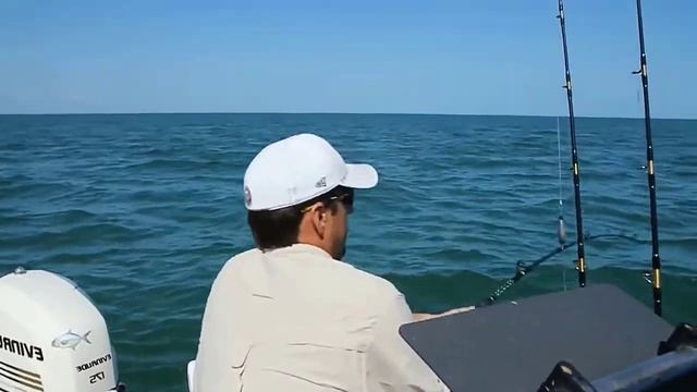 Самый большой Окунь в мире. Нильский окунь смотреть онлайн