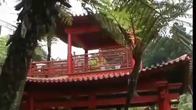 Тропический сад Мадейры смотреть онлайн