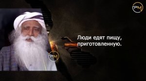 Пищевой эксперимент Садгуру | Затмение | Лунный | Солнечная | рудракша | Садхгуру русская мотивация
