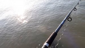 Махачкала. Рыбалка. Влог #сидимдома #махачкала #dagestan