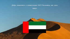 ОАЭ - Как живёт одна из самых богатых стран Ближнего Востока