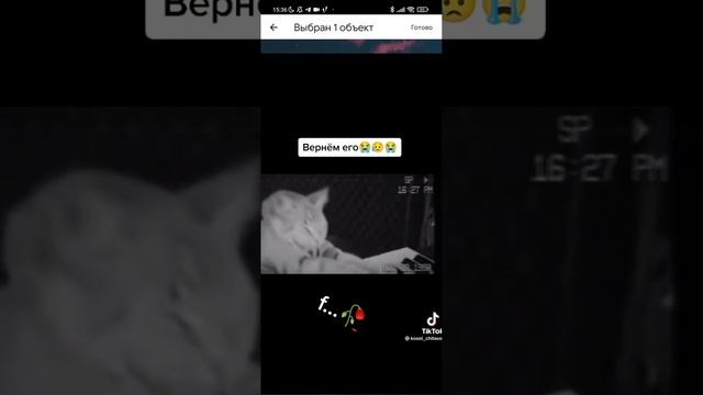 туторила на геймпасс подробно! #подпишись#роблокс#актив#создатьгеймпасс#квинкаслоумо //Roblox #рекп