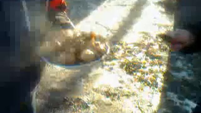 Приготовление шашлыка на базе отдыха Островок в Сумах смотреть онлайн