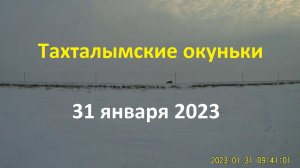 Тахталымские окуньки