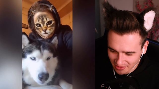 РЕАКЦИЯ КОШЕК И СОБАК НА КОШАЧЬЮ МАСКУ ??| Видео про котят и щенков | Самое милое видео в мире