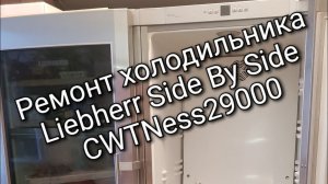 Ремонт холодильника Liebherr Side By Side CWTNess29000