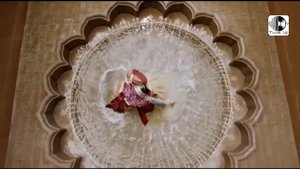 Padmavati : Ek Dil Ek Jaan Video Song | Deepika Padukone | Shahid Kapoor | Sanjay Leela Bhansali