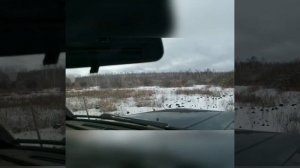 Охота на волков в Якутии