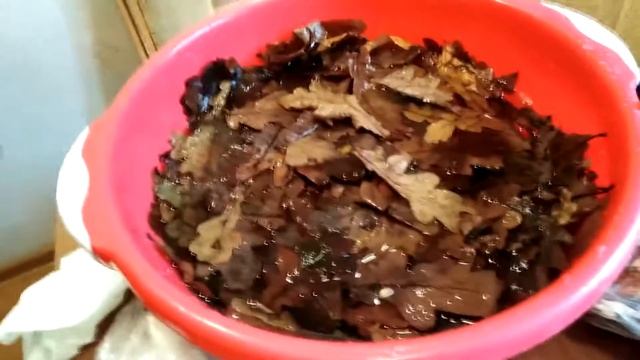 Заготовки на зиму ДУБОВЫЙ ОПАД? смотреть онлайн