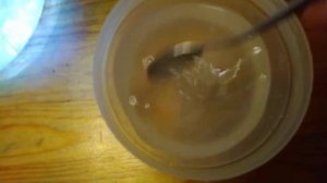 Дафния моина из сухого корма 5