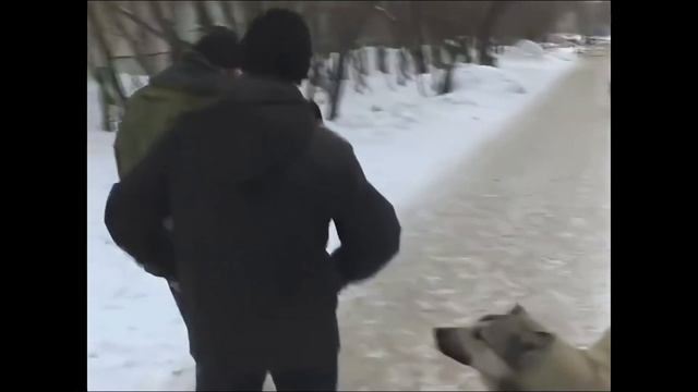 ПОЗДРАВЛЕНИЯ С 8 МАРТА 8K 60FPS???