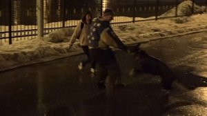 Проверка собак на защиту хозяина В РЕАЛЬНЫХ УСЛОВИЯХ