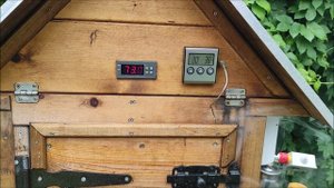 Копчение домашней курицы.Курица горячего копчения.