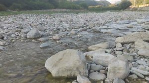 река Шепси после четырёх месяцев засухи. 29.07.24