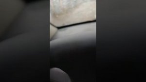 Рено Меган 2  быстрое снятие подушки безопасности руля.