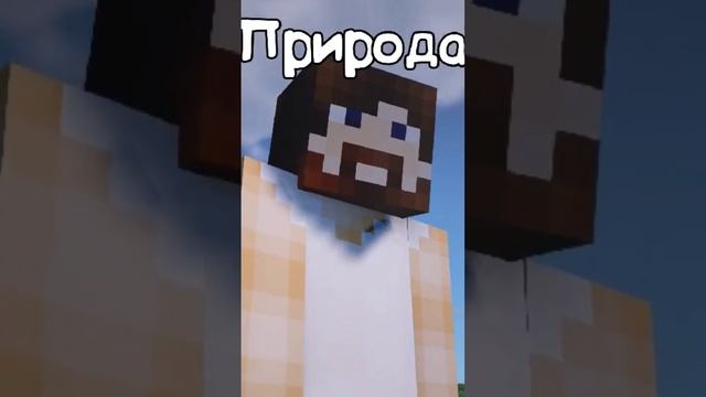 Как природа создавала паука в Minecraft