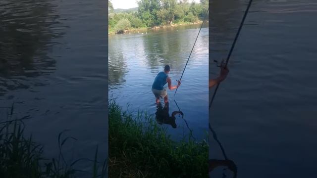 River Vrbas- Chondrostoma Nasus- Bolognese Fishing смотреть онлайн