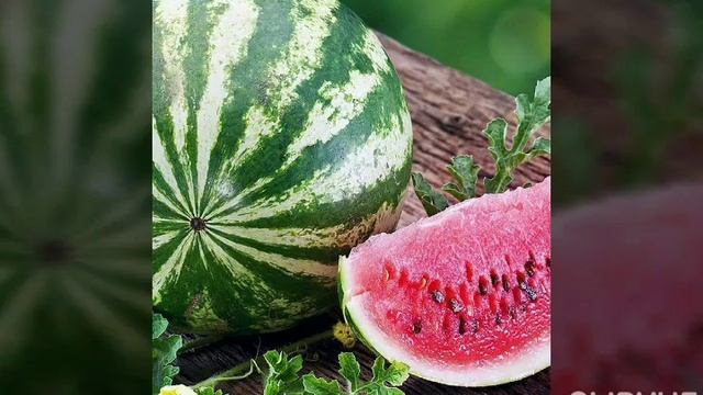 3 АВГУСТА - ДЕНЬ АРБУЗА... смотреть онлайн